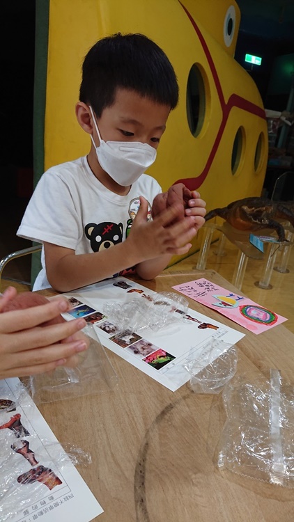 3/19 幼兒園週間親子科學活動：鳥兒的家-圖片20