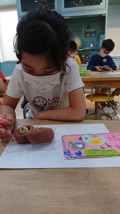 3/19 幼兒園週間親子科學活動：鳥兒的家-圖片26