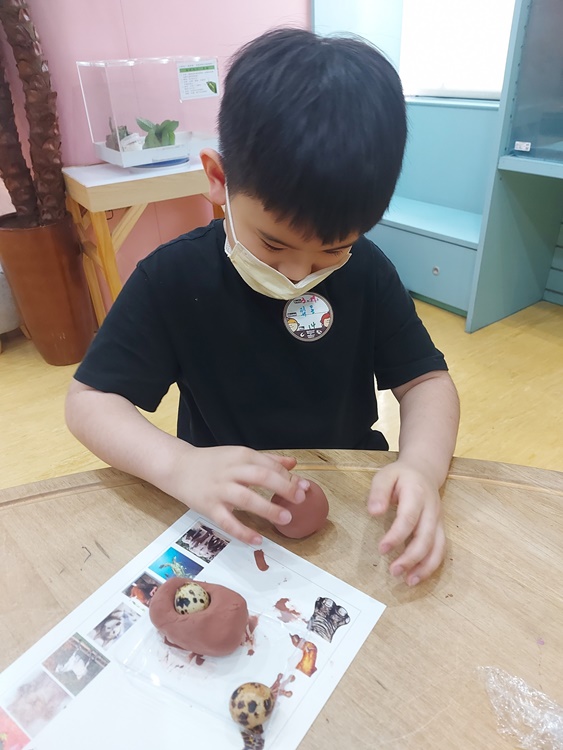 3/19 幼兒園週間親子科學活動：鳥兒的家-圖片31