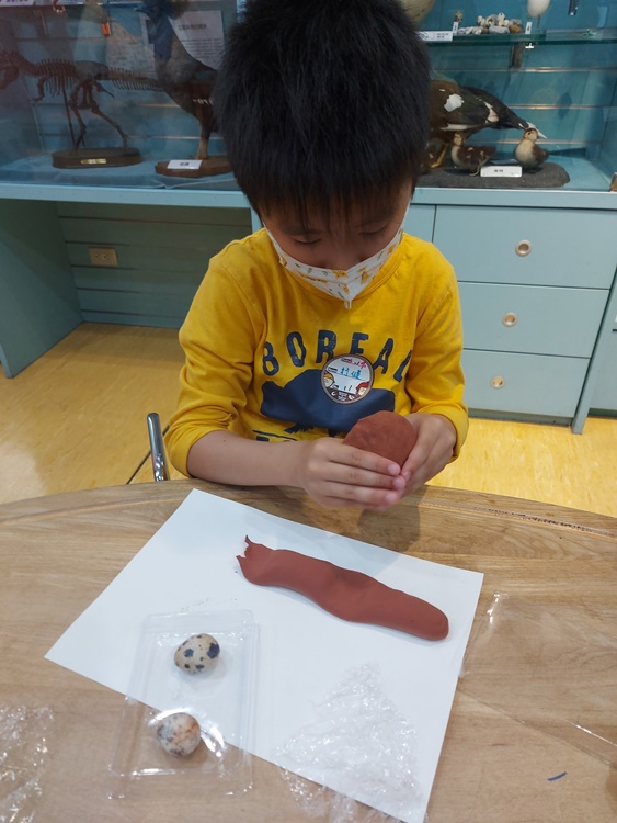 3/19 幼兒園週間親子科學活動：鳥兒的家-圖片32