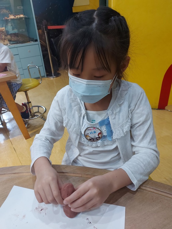 3/19 幼兒園週間親子科學活動：鳥兒的家-圖片33