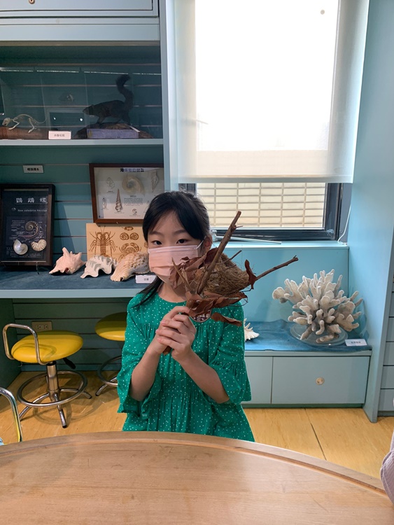 3/19 幼兒園週間親子科學活動：鳥兒的家-圖片64