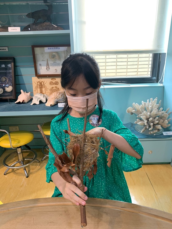 3/19 幼兒園週間親子科學活動：鳥兒的家-圖片65