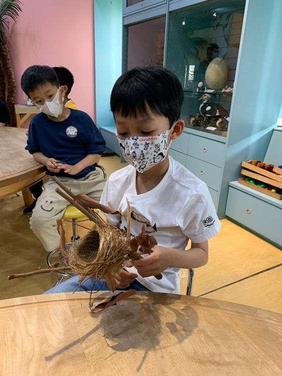 3/19 幼兒園週間親子科學活動：鳥兒的家-圖片66