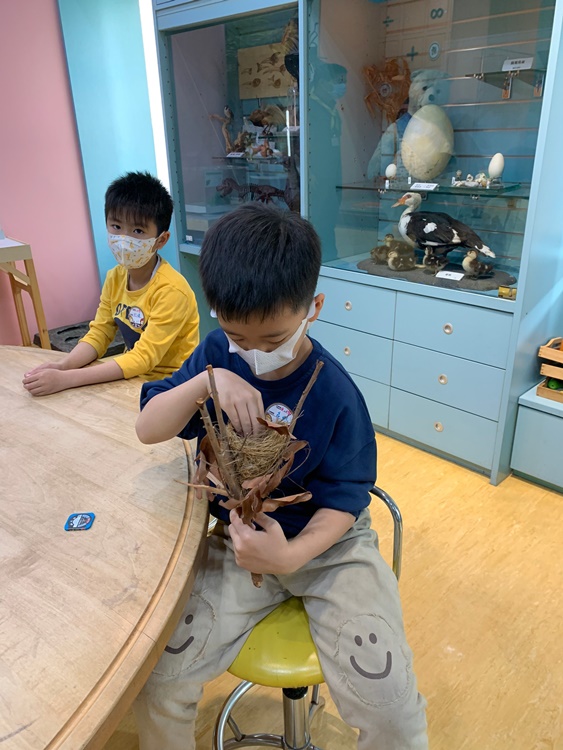 3/19 幼兒園週間親子科學活動：鳥兒的家-圖片67