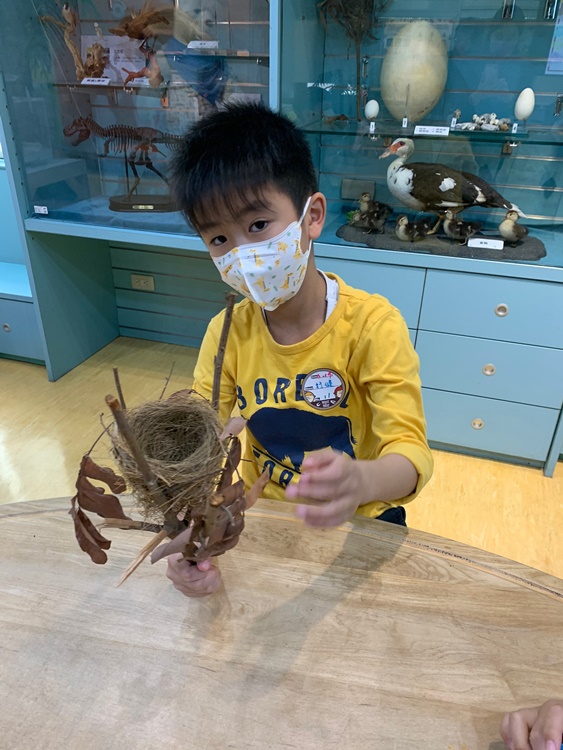 3/19 幼兒園週間親子科學活動：鳥兒的家-圖片68