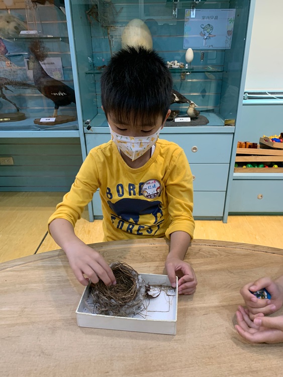 3/19 幼兒園週間親子科學活動：鳥兒的家-圖片69