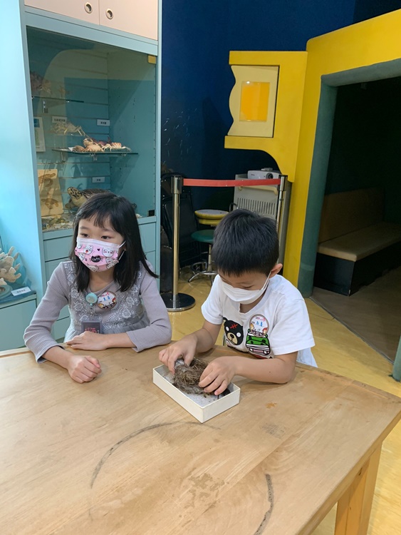 3/19 幼兒園週間親子科學活動：鳥兒的家-圖片72