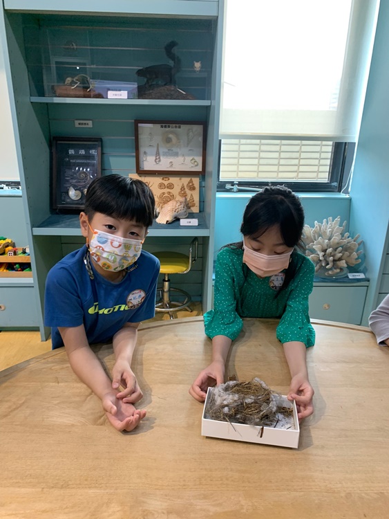 3/19 幼兒園週間親子科學活動：鳥兒的家-圖片73