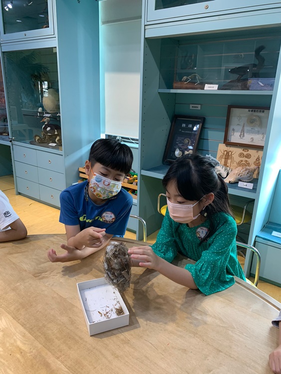 3/19 幼兒園週間親子科學活動：鳥兒的家-圖片75
