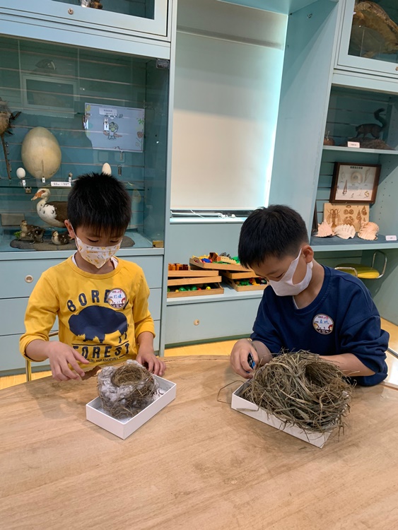 3/19 幼兒園週間親子科學活動：鳥兒的家-圖片76
