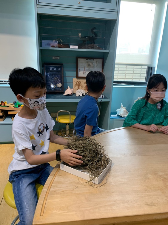 3/19 幼兒園週間親子科學活動：鳥兒的家-圖片78