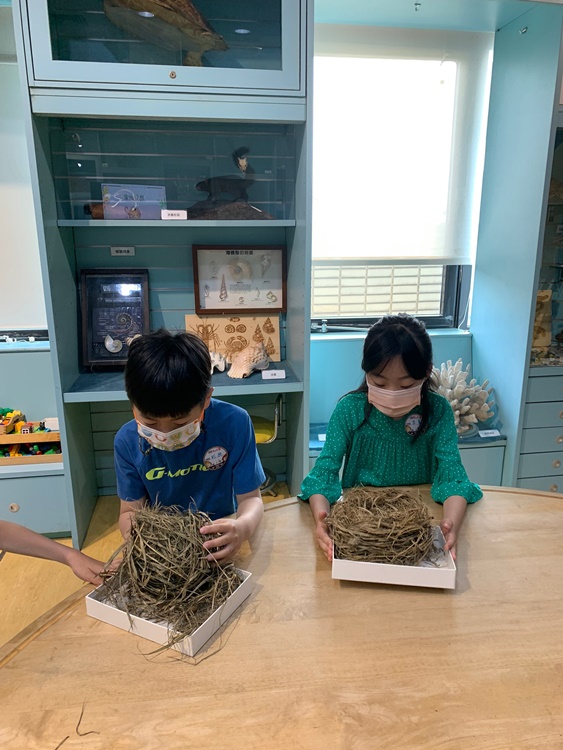 3/19 幼兒園週間親子科學活動：鳥兒的家-圖片79
