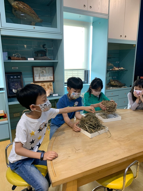 3/19 幼兒園週間親子科學活動：鳥兒的家-圖片80