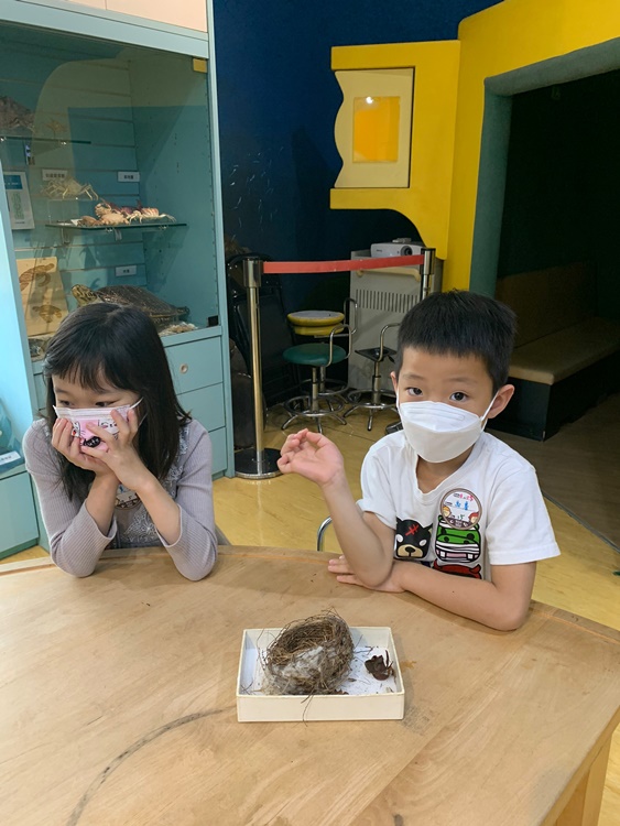 3/19 幼兒園週間親子科學活動：鳥兒的家-圖片81