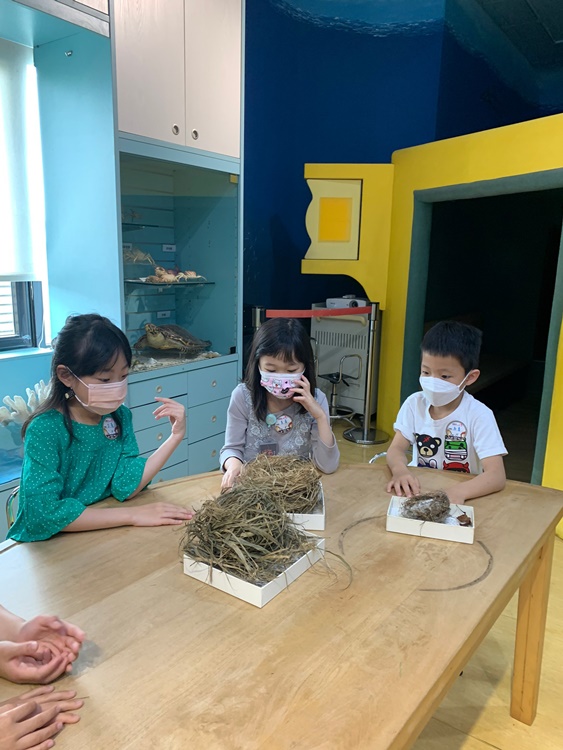 3/19 幼兒園週間親子科學活動：鳥兒的家-圖片82