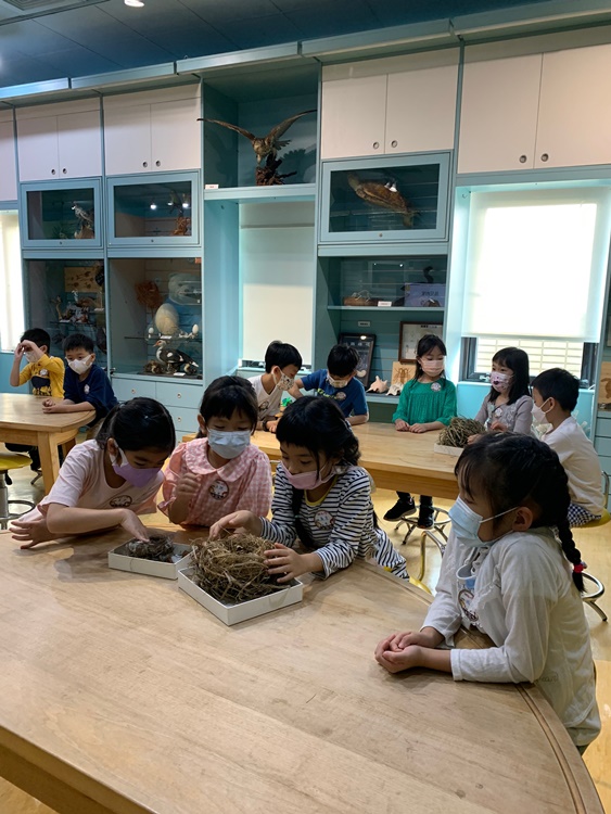 3/19 幼兒園週間親子科學活動：鳥兒的家-圖片83