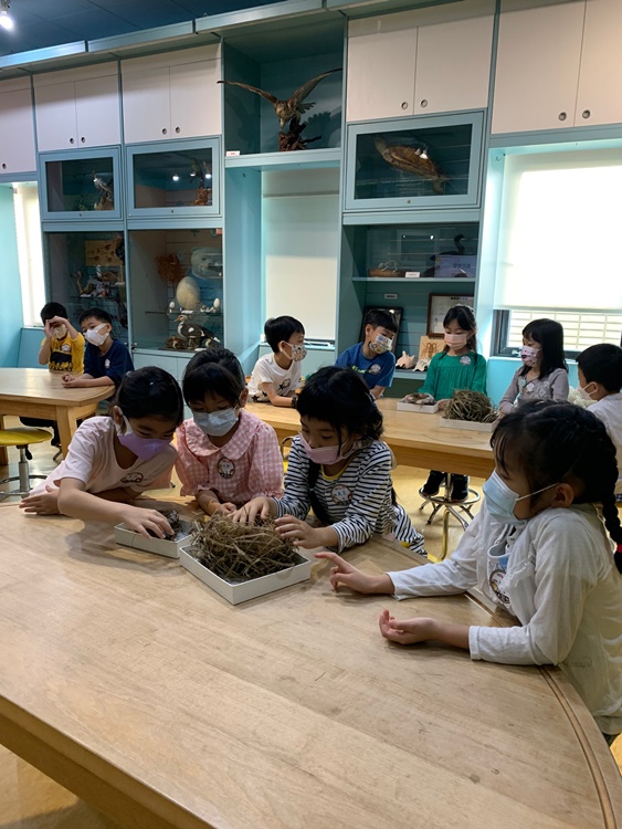 3/19 幼兒園週間親子科學活動：鳥兒的家-圖片84