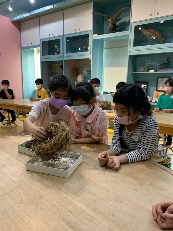 3/19 幼兒園週間親子科學活動：鳥兒的家-圖片86
