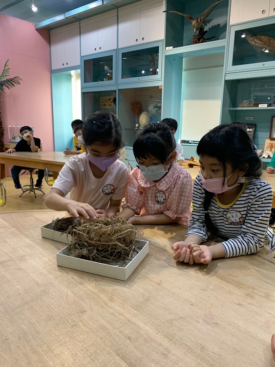 3/19 幼兒園週間親子科學活動：鳥兒的家-圖片87
