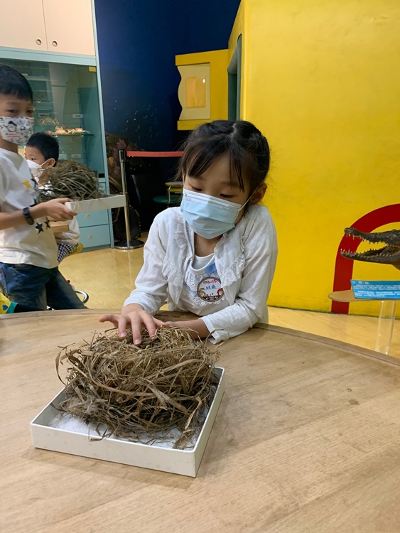 3/19 幼兒園週間親子科學活動：鳥兒的家-圖片88