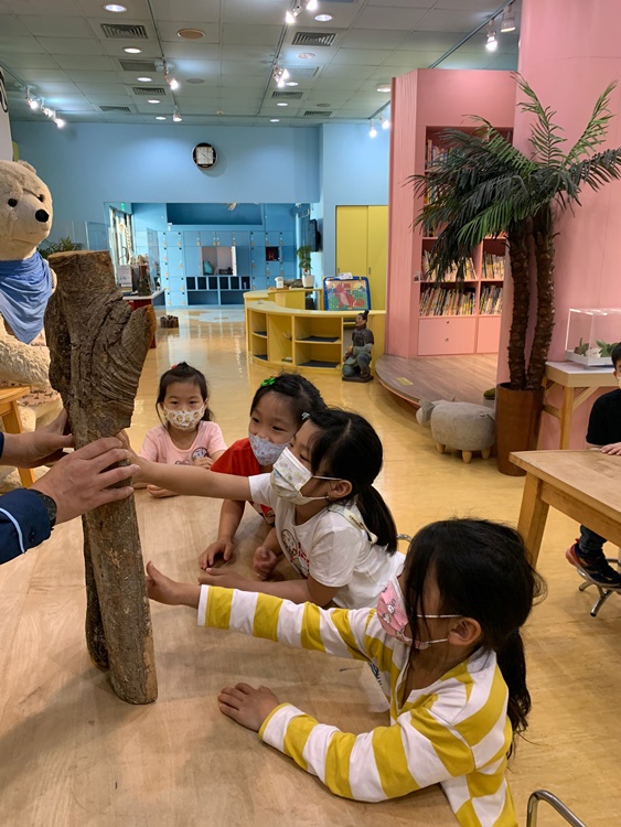 3/19 幼兒園週間親子科學活動：鳥兒的家-圖片91