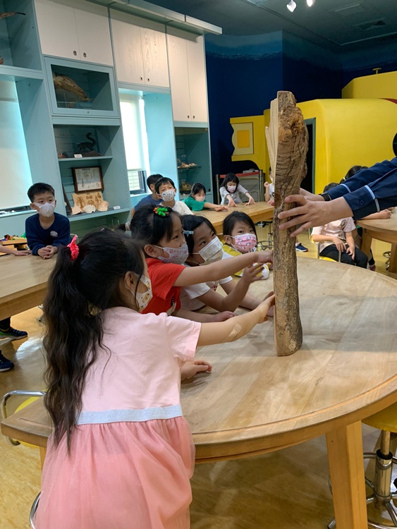 3/19 幼兒園週間親子科學活動：鳥兒的家-圖片93