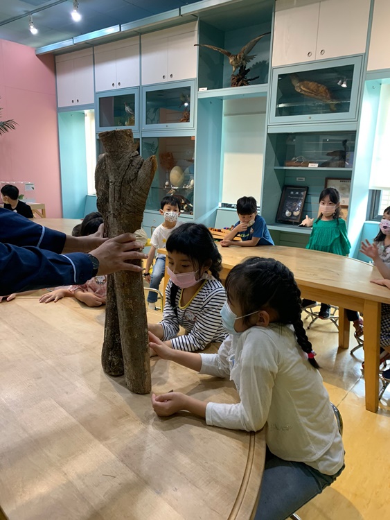 3/19 幼兒園週間親子科學活動：鳥兒的家-圖片95
