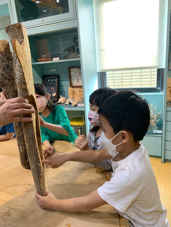 3/19 幼兒園週間親子科學活動：鳥兒的家-圖片97