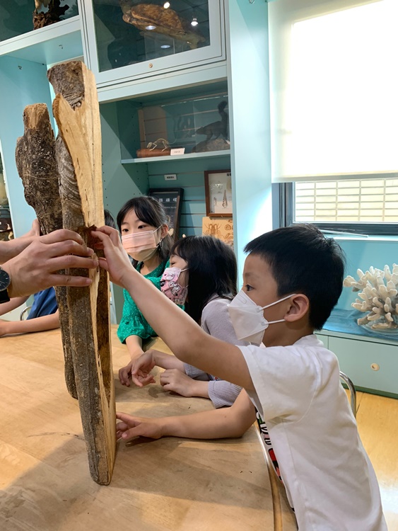 3/19 幼兒園週間親子科學活動：鳥兒的家-圖片98