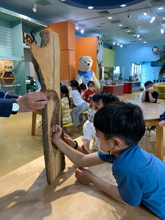 3/19 幼兒園週間親子科學活動：鳥兒的家-圖片99