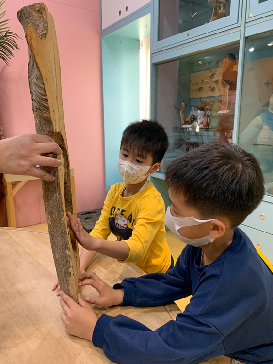 3/19 幼兒園週間親子科學活動：鳥兒的家-圖片100