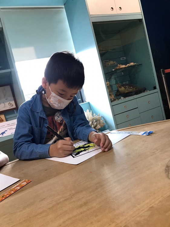 4/16 幼兒園週間親子科學活動：蝠到福到-圖片6
