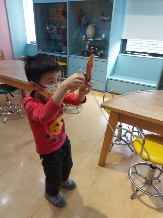 4/16 幼兒園週間親子科學活動：蝠到福到-圖片29