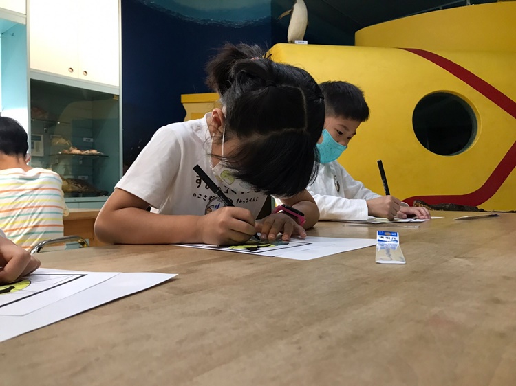 4/16 幼兒園週間親子科學活動：蝠到福到-圖片87