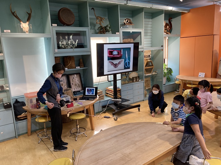 4/20 幼兒園週間親子科學活動：蝠到福到-圖片21