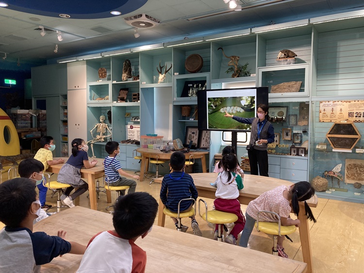 4/20 幼兒園週間親子科學活動：蝠到福到-圖片22