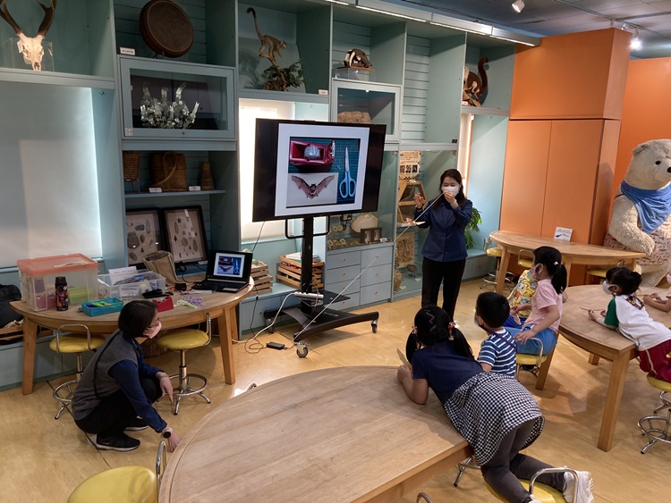 4/20 幼兒園週間親子科學活動：蝠到福到-圖片23