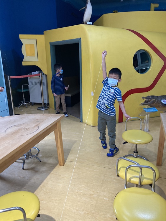 4/20 幼兒園週間親子科學活動：蝠到福到-圖片28
