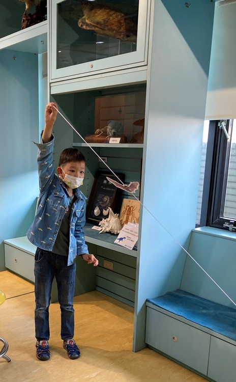 4/20 幼兒園週間親子科學活動：蝠到福到-圖片31