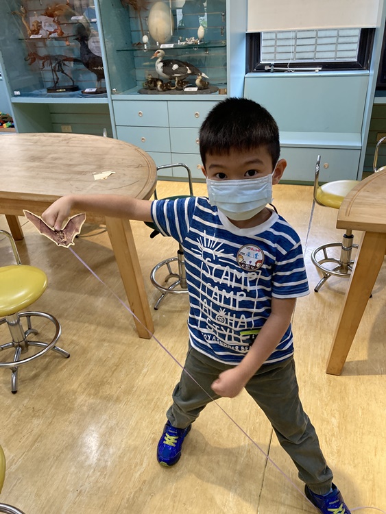 4/20 幼兒園週間親子科學活動：蝠到福到-圖片40