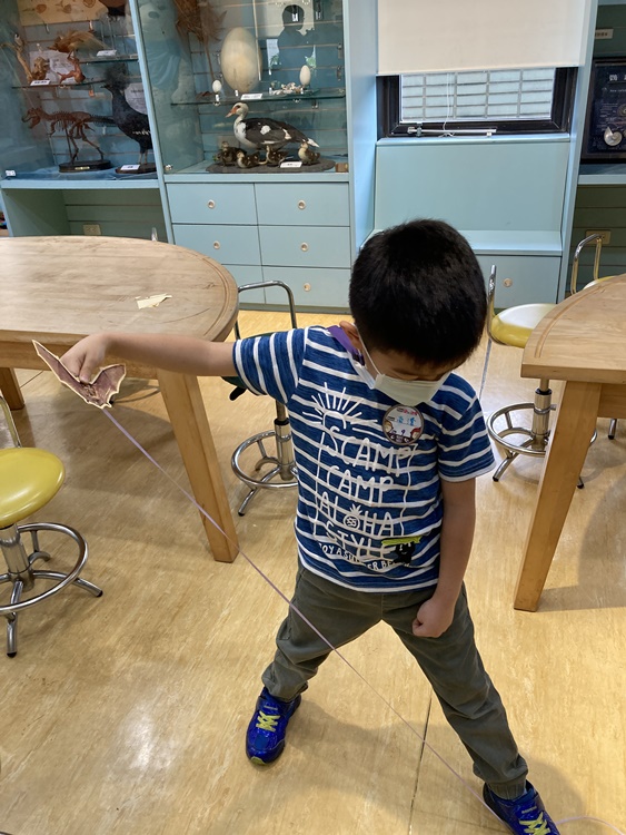 4/20 幼兒園週間親子科學活動：蝠到福到-圖片41