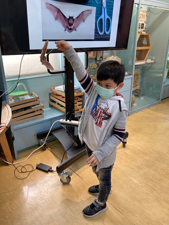 4/20 幼兒園週間親子科學活動：蝠到福到-圖片42