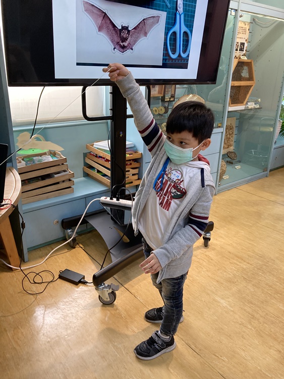 4/20 幼兒園週間親子科學活動：蝠到福到-圖片43