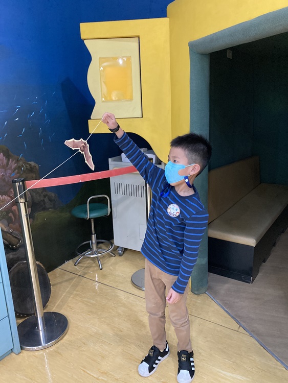 4/20 幼兒園週間親子科學活動：蝠到福到-圖片48