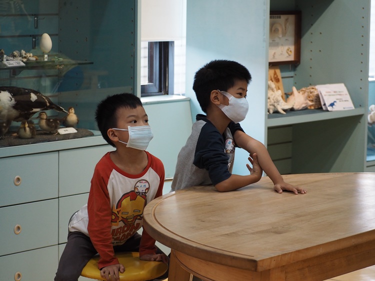 4/20 幼兒園週間親子科學活動：蝠到福到-圖片53