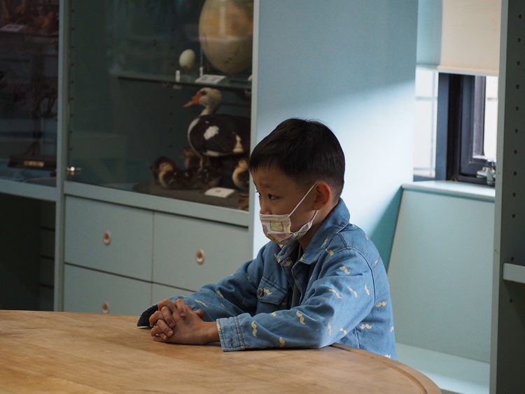 4/20 幼兒園週間親子科學活動：蝠到福到-圖片60