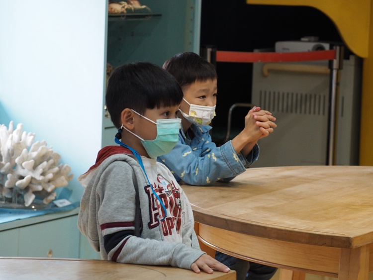 4/20 幼兒園週間親子科學活動：蝠到福到-圖片62
