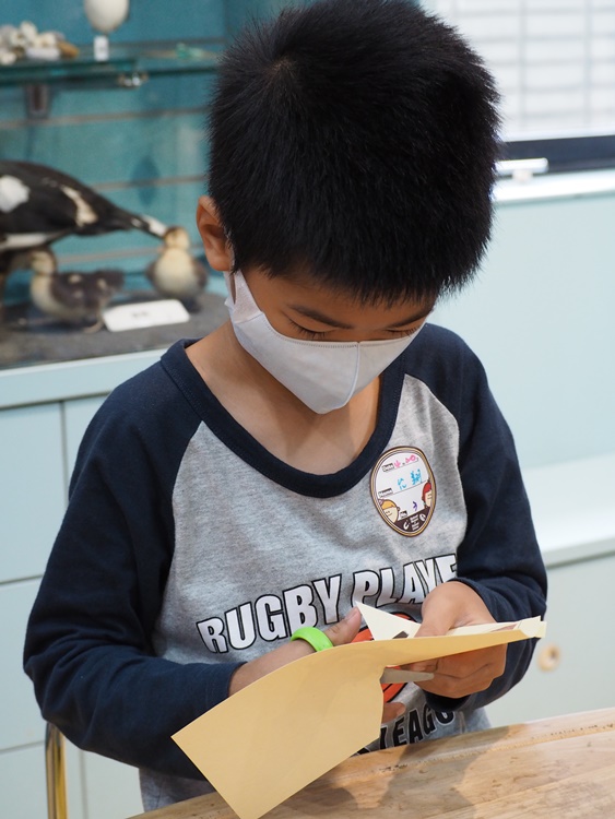 4/20 幼兒園週間親子科學活動：蝠到福到-圖片87
