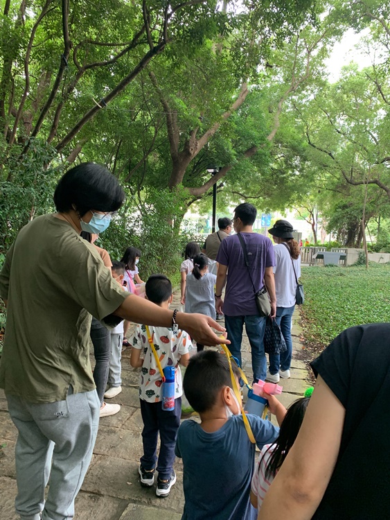 幼兒園：與植物作朋友(5/22)-圖片7
